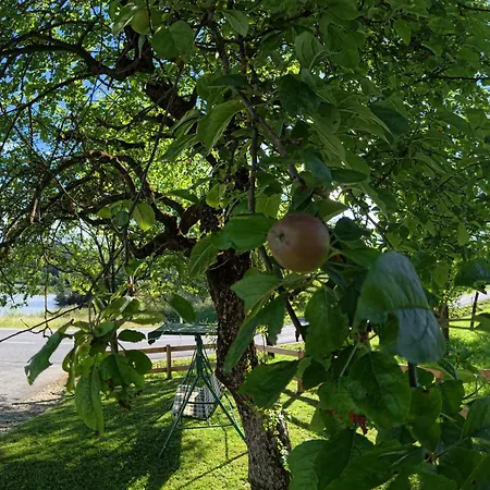 Σπίτι διακοπών Slivnisko Jezero Hisa