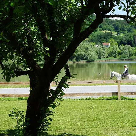 Počitniška hiša Slivnisko Jezero Hisa