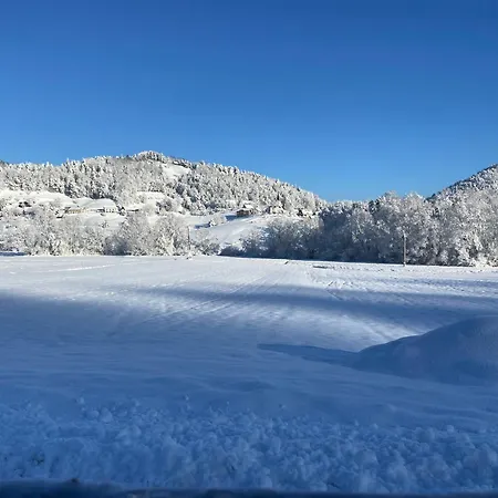 Slivnisko Jezero Hisa Veliki Rakitovec