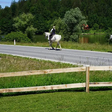 Σπίτι διακοπών Slivnisko Jezero Hisa