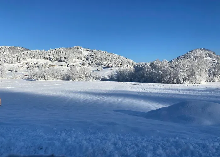 Slivnisko Jezero Hisa Veliki Rakitovec